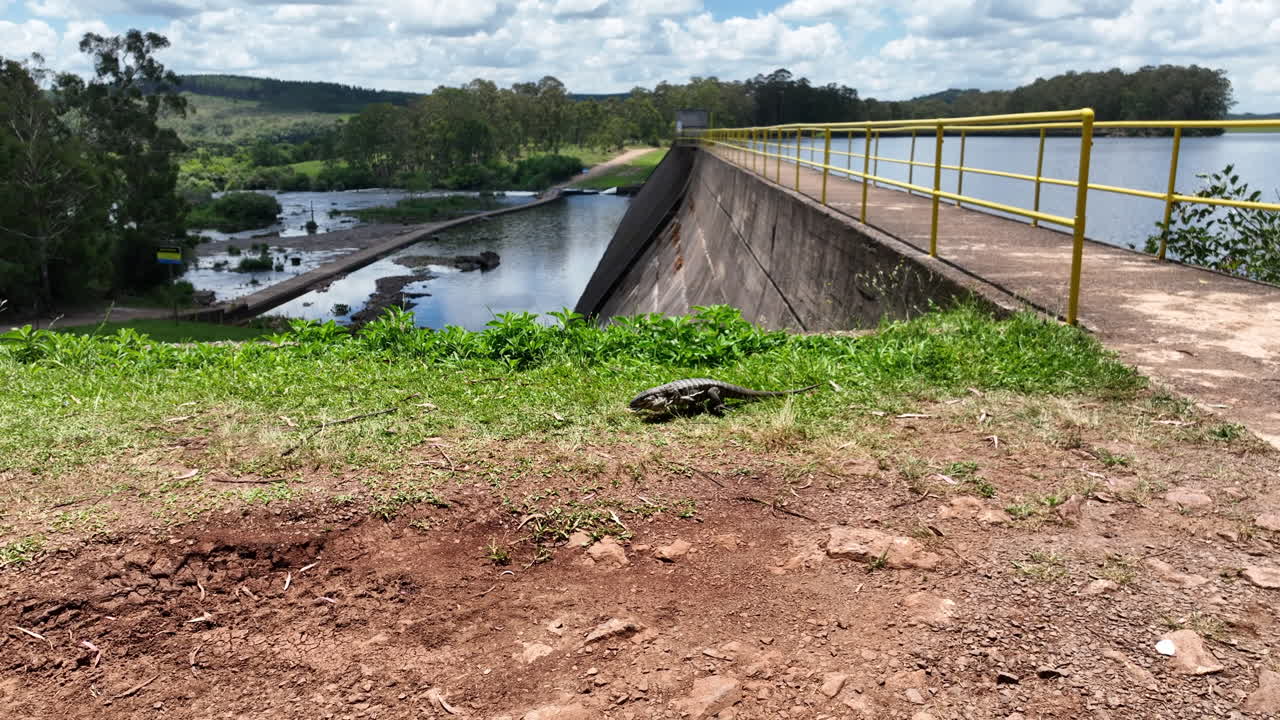 Close-up footage of a lizard walking on the ground in a natural setting, with Barragem do Blang dam visible in the background. Filmed in São Francisco de Paula, Brazil, under a partly cloudy sky