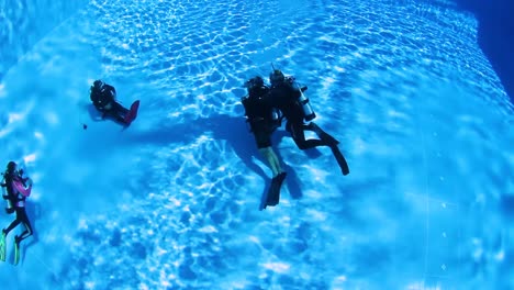 buceadores entrenando en una piscina