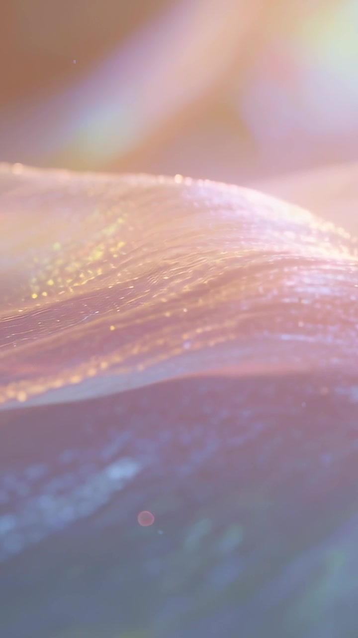 Vertical video: Focusing camera revealing shimmering surface moving right in studio to show sheen