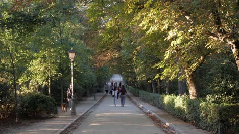 people walking along beautiful pathway in park. population socialising in park landscape in spectacular autum light.