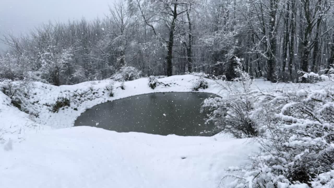 Frozen lake in forest winter season snow of heavy mountain cozy landscape Iran Hyrcanian outdoor adventure hiking peaceful nature scenic countryside viewpoint freezing trees wonderful background