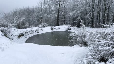 frozen lake in forest winter season snow of heavy mountain cozy landscape iran hyrcanian outdoor adventure hiking peaceful nature scenic countryside viewpoint freezing trees wonderful background