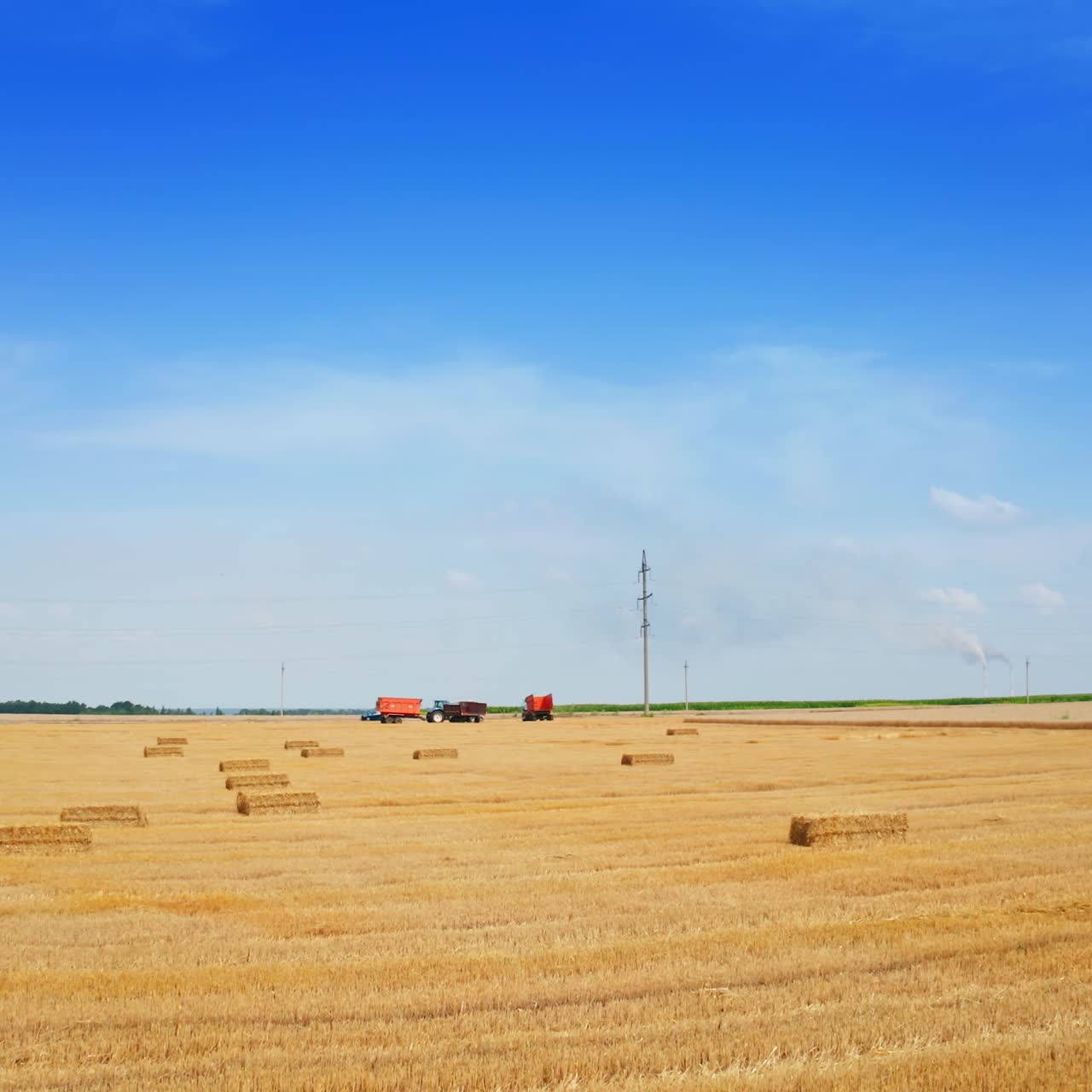 Cut wheat plantation with hay bales on it. Agricultural machinery standing in the field at the backdrop. Blue sky background