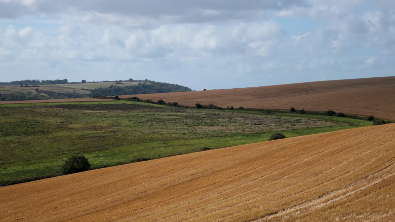 Scenic farmland with lush green and golden fields