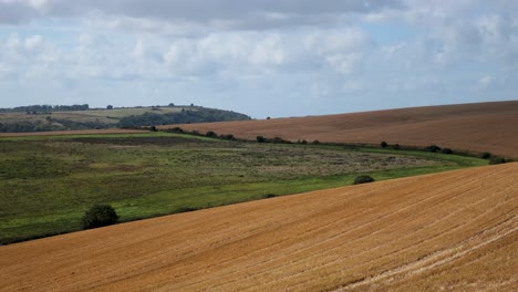 scenic farmland with lush green and golden fields