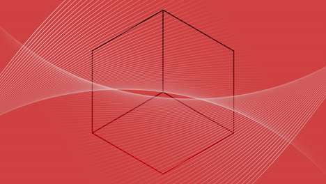 digital animation of wavy lines moving against cubical shape on red background