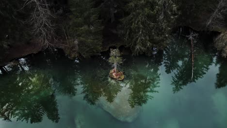 Aerial-view-of-a-little-island-with-trees-in-a-lake-surrounded-by-pine-forests-in-Switzerland