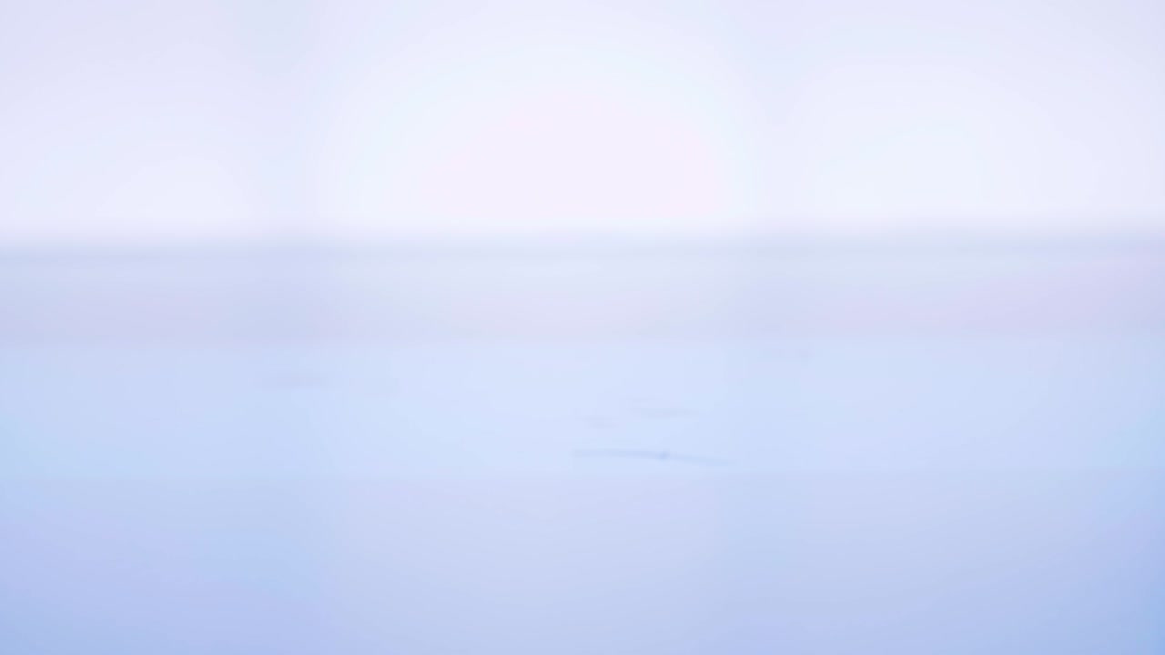 새의 깃털이 수면에 떨어졌다 슬로우 모션 감각으로 가을의 가벼움과 부드러움