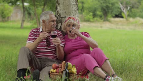 family weekend picnic in park. senior old couple sit near tree, eating fruits, drinking wine