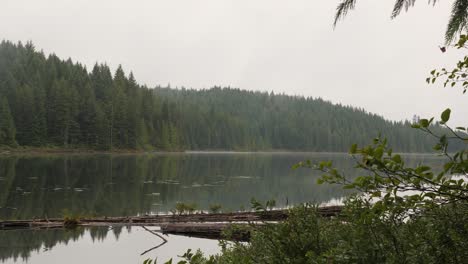 Wide-shot-of-a-lake-on-a-dreary,-rainy-day