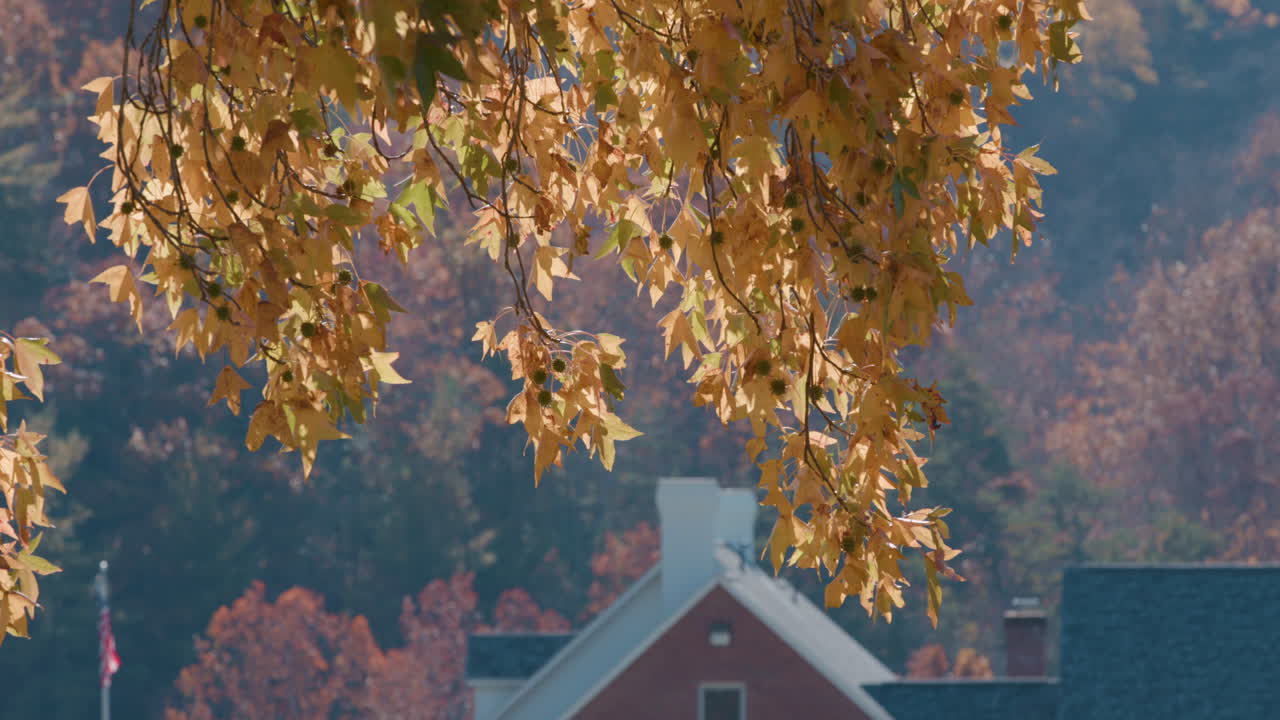 배경 에 농장 재산 이 있는 가을 나무