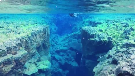 diving in glacier water in silfra, iceland with reefs below