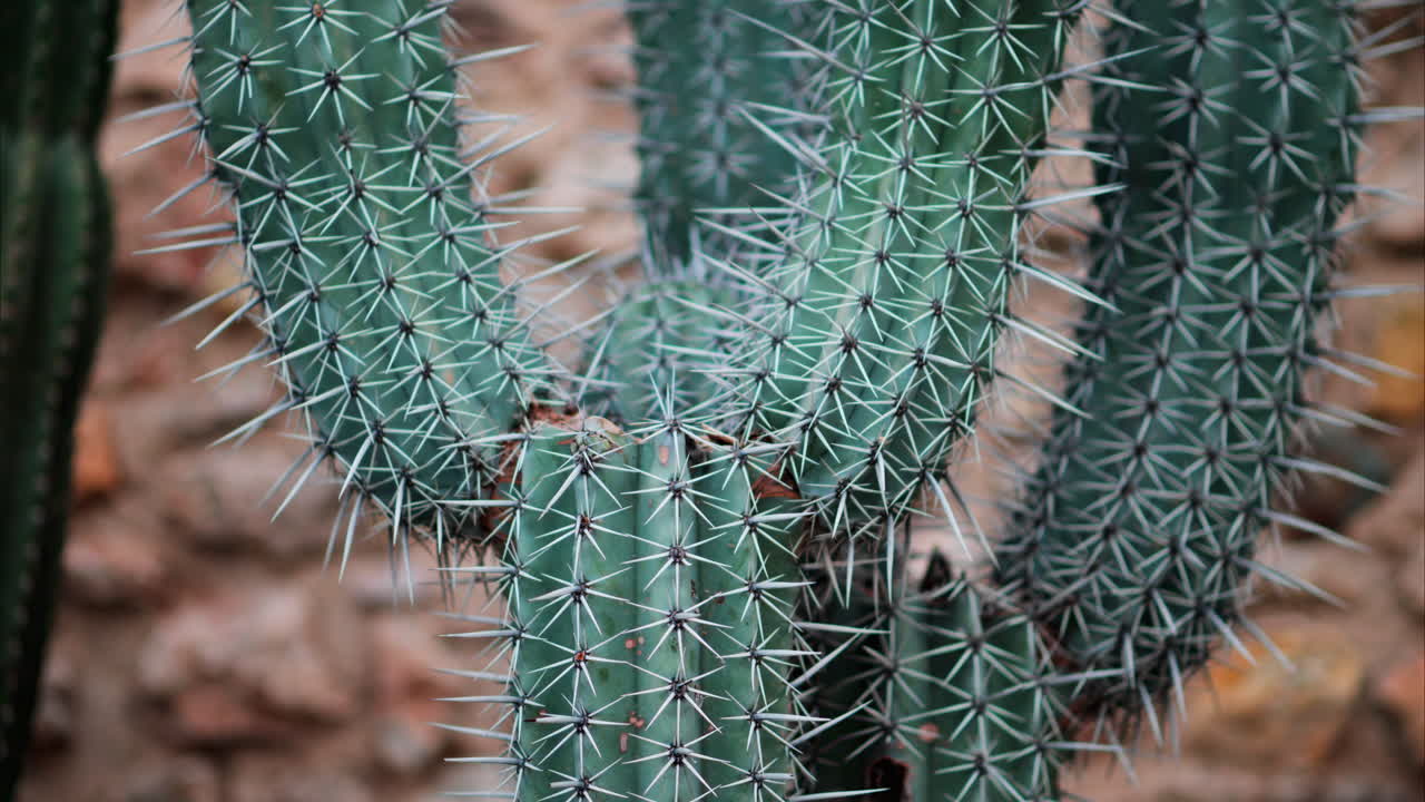 Antibes, France - October 14, 2024: Close up of the bronze sculpture Grand Defi by Nicolas Lavarenne. Vertical