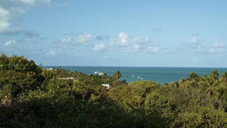 Tilt-up-landscape-shot-of-the-beautiful-tropical-Atlantic-ocean-from-a-lookout-above-Penha-beach-in-Paraiba,-Brazil-near-João-Pessoa-with-exotic-foliage-below-and-boats-in-the-clear-blue-water