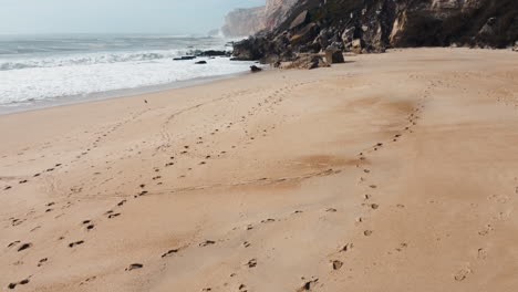 a captivating aerial perspective of the enchanting sandy shores of nazaré, portugal, where golden sands create a canvas adorned with intriguing trace patterns