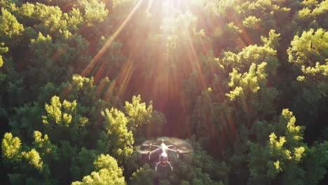 drone flying over a forest
