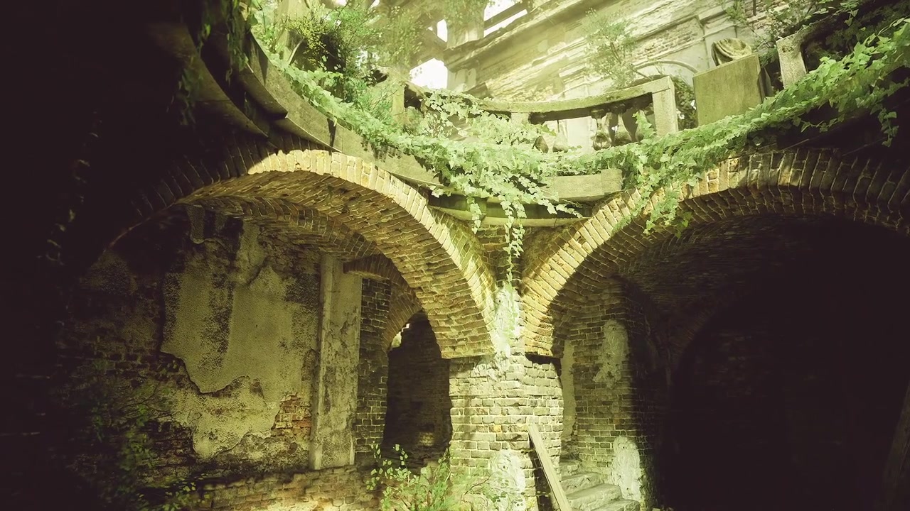 Rayos de luz brillantes iluminan plantas exuberantes dentro de ruinas antiguas
