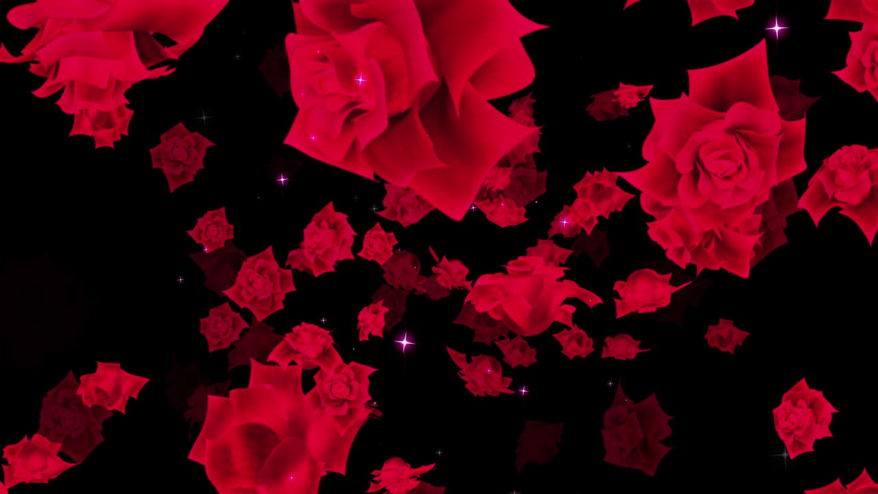 animación de bucle de partículas de rosa roja