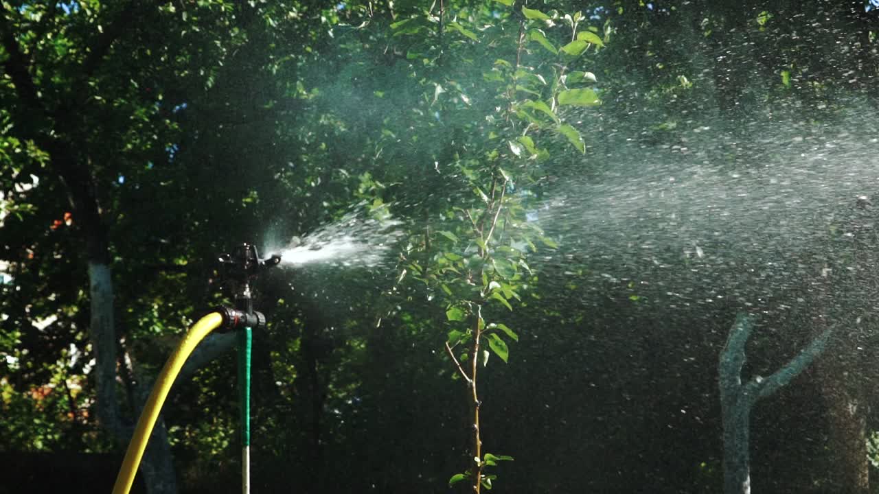 Automatic sprayers in the garden. Sprinkler head watering the bush and grass in the garden