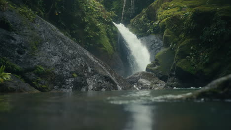 waterfall in a lush forest