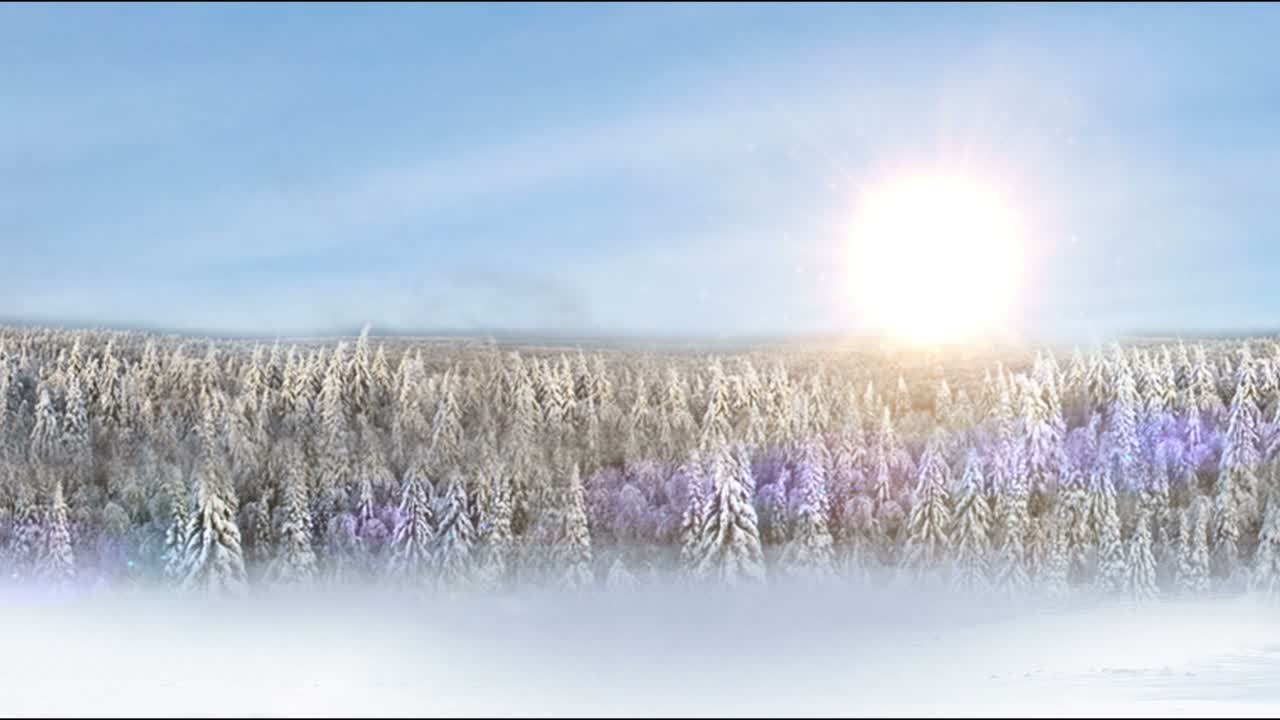 눈 인 겨울 숲 풍경