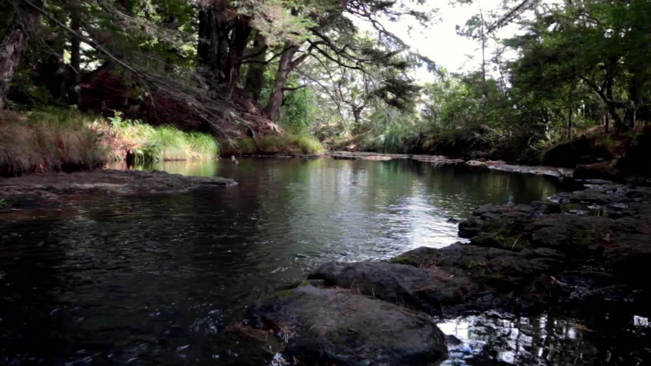 Peaceful flowing river in a woodland setting in newzealand