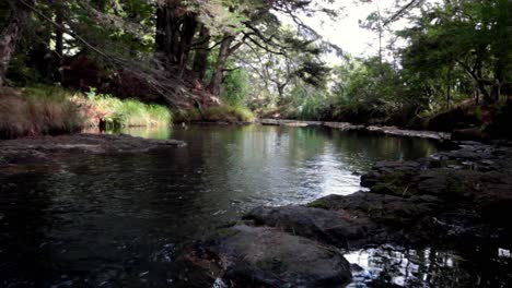 peaceful flowing river in a woodland setting in newzealand