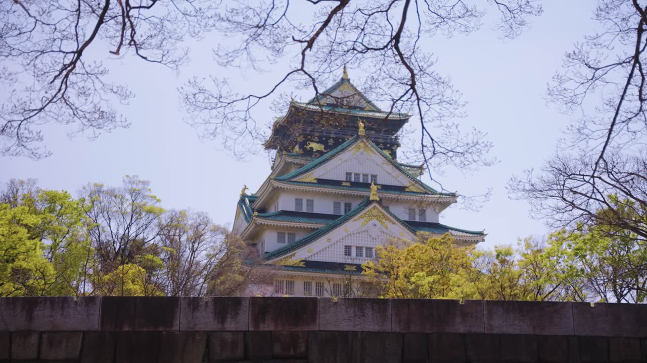 Japonya Kansai'de, ilkbaharda Osaka Kalesi Surları ve Parkı, açılış çekimi.
