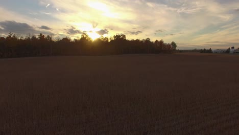 Hermoso-Paisaje-Con-Campo-De-Maíz-Al-Atardecer-En-Canadá