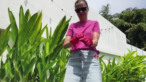 mujer jardinería en un jardín tropical