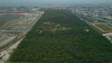aerial view of a lush green forest surrounded by urban development in lagos, nigeria