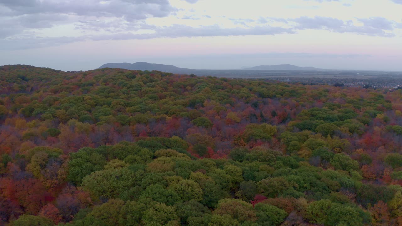 캐나다 가을에 다채로운 숲 위로 뒤로 날아가는 드론