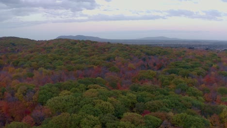 drone flying backward over a colourful forest in canadian autumn