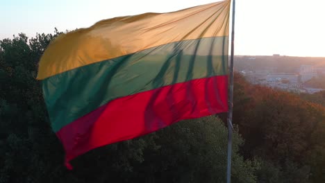 bandera de lituania ondeando en el viento