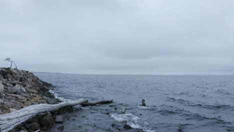 rainy cloudy day over the misty foggy bay