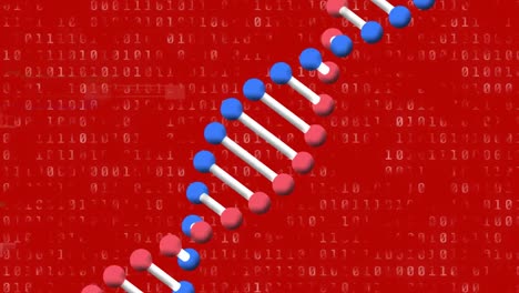 Animación-De-La-Cadena-De-ADN-Girando-Con-Fallas-Y-Procesamiento-De-Datos-De-Codificación-Binaria.