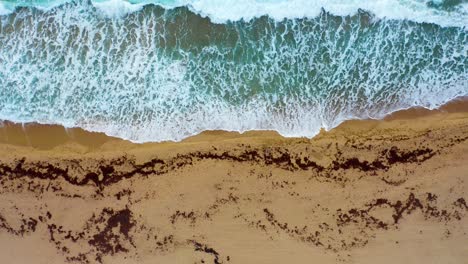 Aerial-top-down-drone-shot-slowly-moving-right-over-the-Atlantic-Ocean-waves-crashing-against-a-sandy-beach-during-a-sunrise-near-Palm-Beach,-Florida