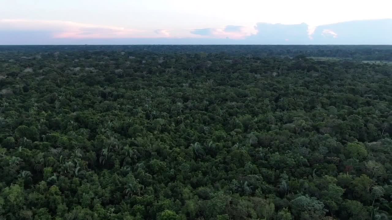 아마존 열대우림의 페루에서 드론의 공중 사진은 해가 뜨는 구름이 많은 날 주변의 초록색 나무 숲을 보여줍니다.