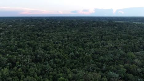 Drone-aerial-view-in-Peru-in-the-amazon-rainforest-showing-green-tree-forest-all-around-on-a-cloudy-day-at-sunrise