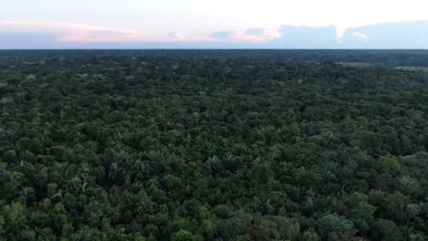 vista aérea de drones en perú en la selva amazónica que muestra el bosque de árboles verdes a su alrededor en un día nublado al amanecer