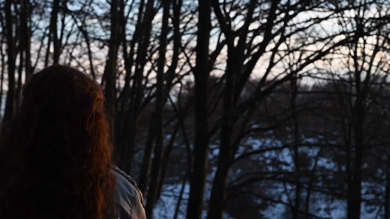 jovem com lindos cabelos ruivos iluminados pela luz do pôr do sol enquanto observava a paisagem