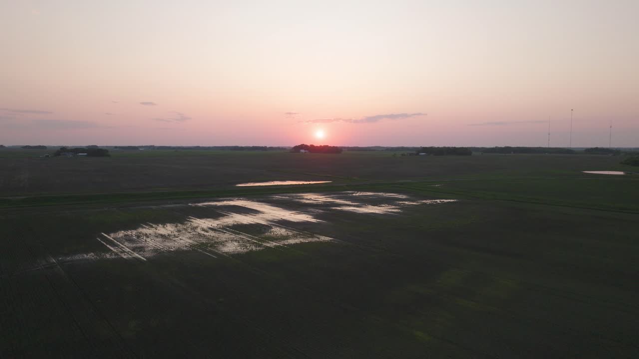 Flying Over The Corn Fields During Sunset With Vibrant Sky. - aerial shot