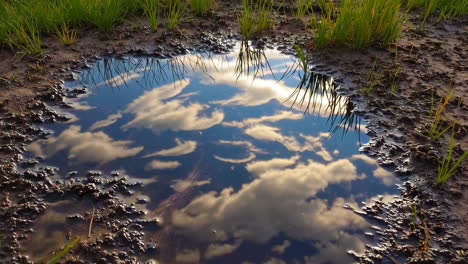 sky and clouds reflected in a muddy puddle