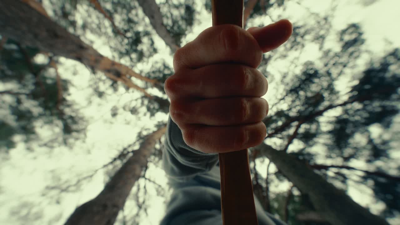 Low Angle View of a Hand Gripping a Wooden Stick in a Forest