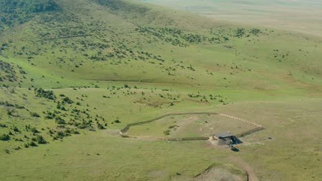 pasture with herd of cows on green hills