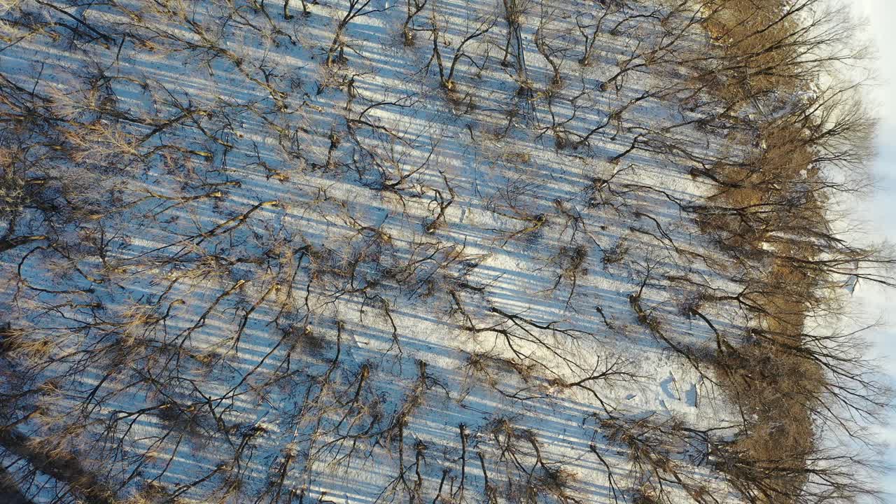 Winter River and Forest Landscape from Above