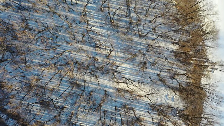 Winter River and Forest Landscape from Above