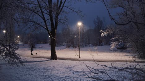 little kid walkinkg his dog in snowy blue nigh