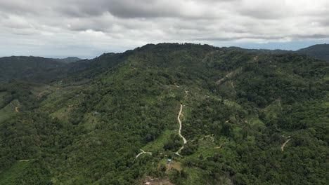 Flying-over-the-green-hills-under-cloudy-sky-with-thin-dirt-trail-visible-in-the-middle-of-the-trees