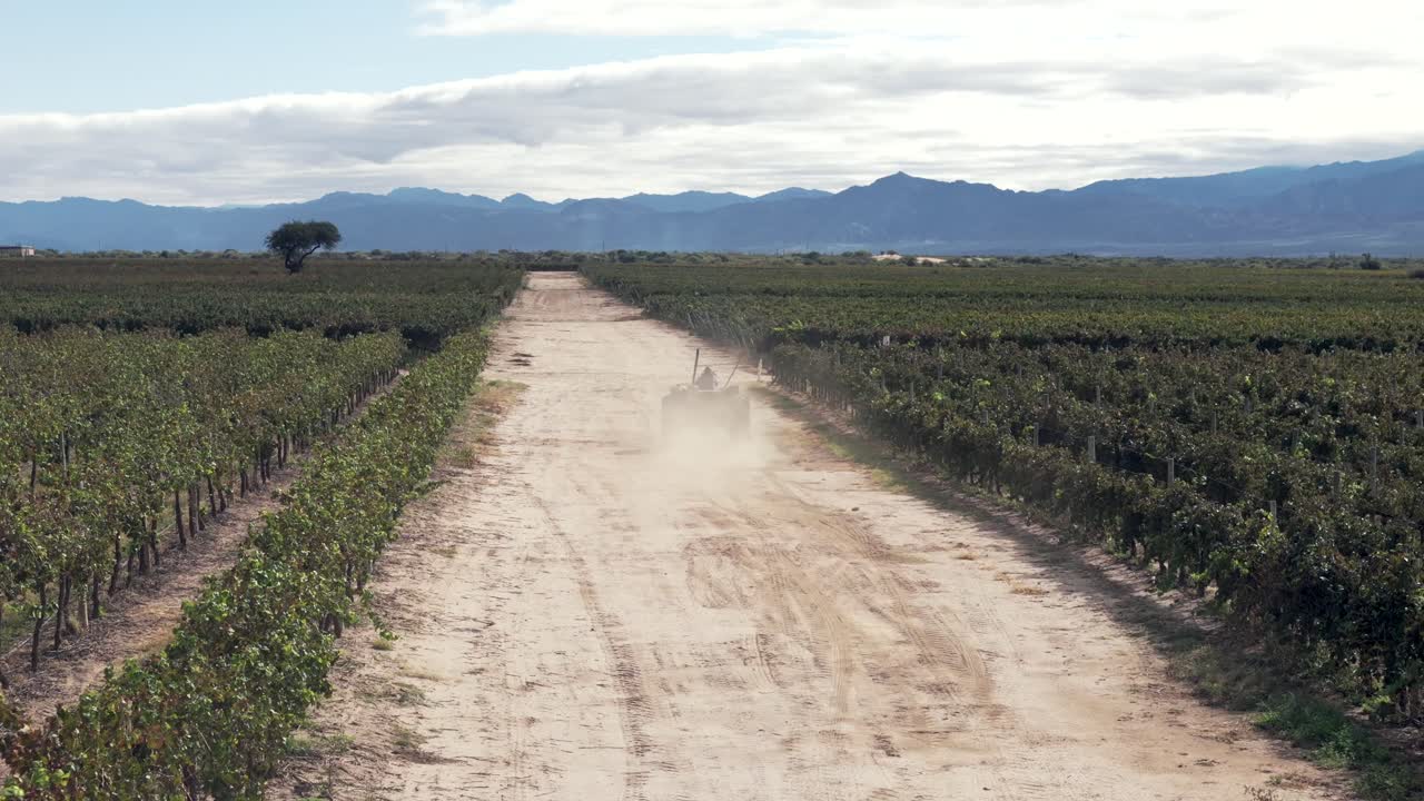 el tractor viaja a lo largo de un camino de tierra en medio de viñedos y vegetación del desierto en el valle de cafayate en salta, norte de argentina, mostrando el paisaje agrícola único de la región.